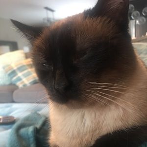 Meet your Posher, Tami